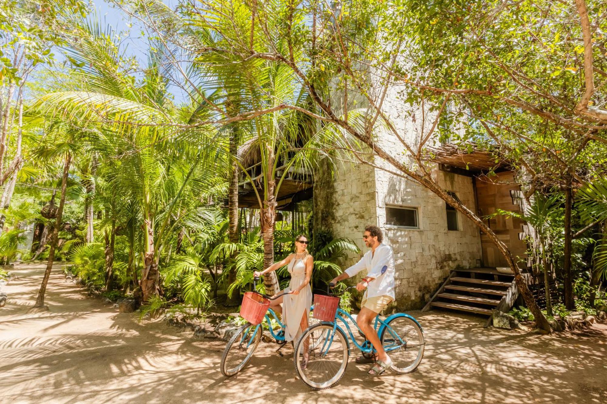 Lodge Vida Silvestre Tulum