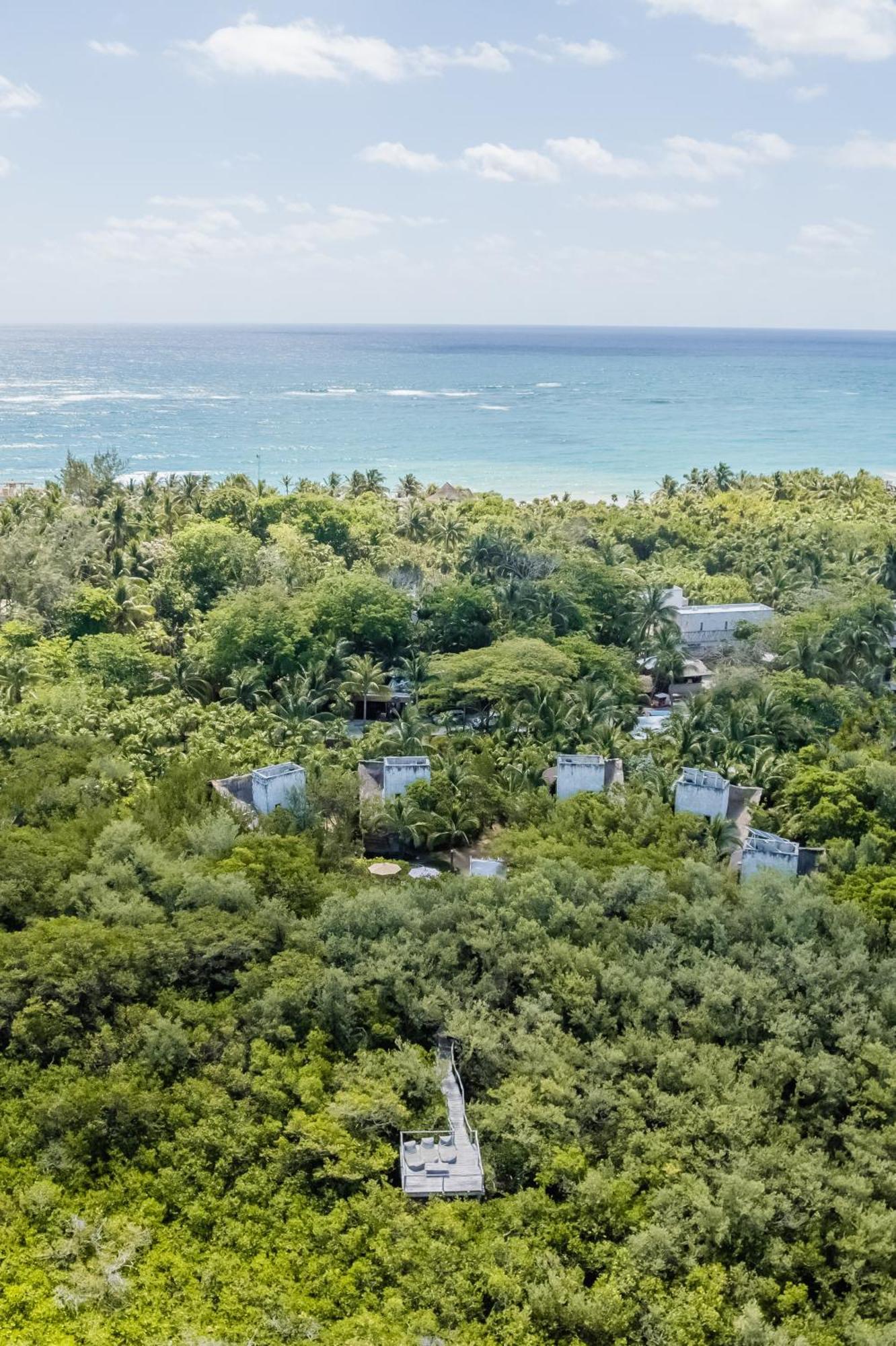 Vida Silvestre Lodge