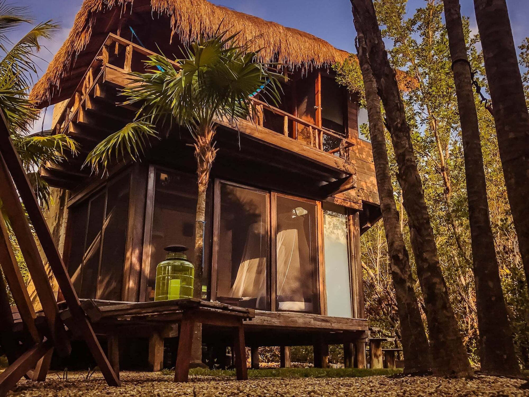 Vida Silvestre Tulum